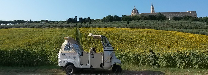 open-sided three-wheeler Ape Calessino