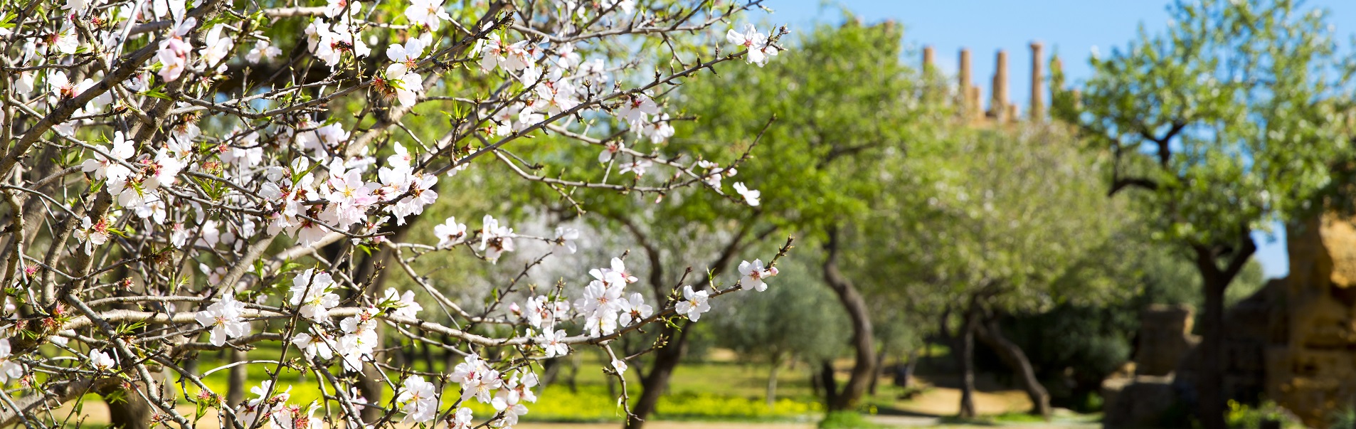 When is the best time to go to Sicily?