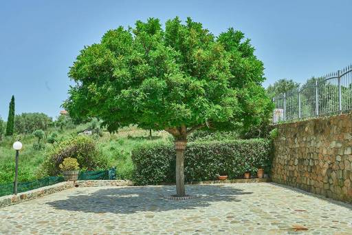 Casa Franchina - villas-in-sicily_acquedolci_988_31574_10