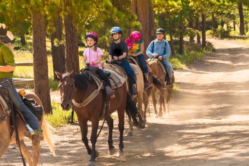 Wellbeing Trio - Horse-riding-experience-wishsicily.jpg