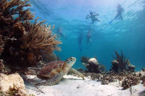 Adventure Trio - snorkeling-sicily.jpg