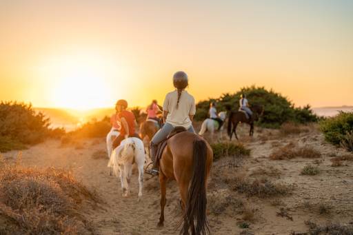 Horse riding - Horse-riding-experience-wish-sicily.jpg