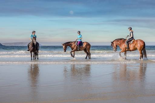 Horse riding - Horse-riding-experience-in-sicily.jpg