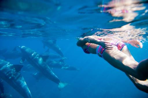 Snorkeling dolphins tour - Snorkeling-dolphins-tour.jpg