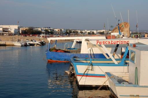 Fishing experiences - Fishing-experiences-wishsicily-pescaturismo.jpg