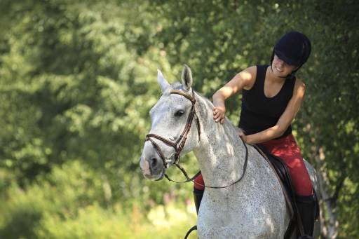 Horse riding - Horse-riding-in-sicily.jpg