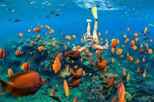 Diving in Sicily