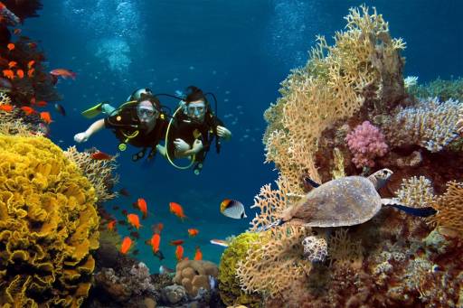 Diving in Sicily - wishsicily-diving-experince.jpg