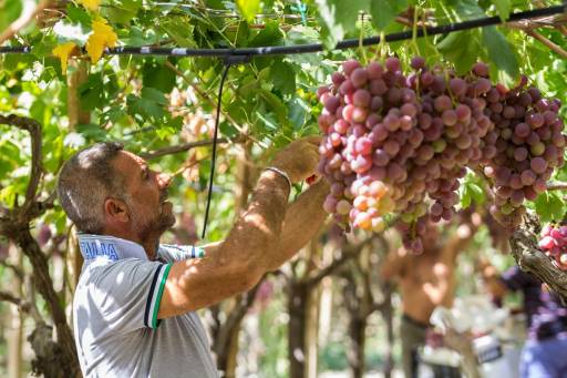 Food and Wine Trio - winery-tour-sicily.jpg