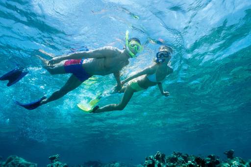 Attivita e sport d'acqua in Sicilia - scuba-diving-sicily_983_0_1
